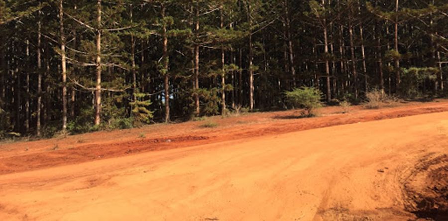 C103 road C103 road